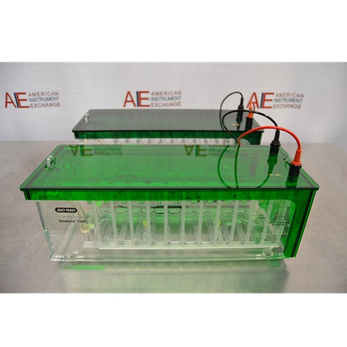 A front view of two Bio-Rad Criterion Dodeca Cell electrophoresis units with transparent green lids and clear tanks, displaying the internal gel cassette slots and connected electrical power leads against an American Instrument Exchange backdrop.