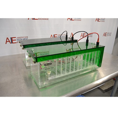 An angled front-left view of two Bio-Rad Criterion Dodeca Cell electrophoresis units featuring green-tinted lids, transparent acrylic tanks showing gel slots, and electrical leads connected to the lids against an American Instrument Exchange backdrop.