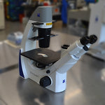 Ziess Primovert Inverted Microscope
