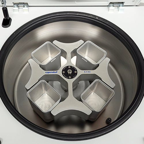 Top-down internal view of an Eppendorf 5810R refrigerated benchtop centrifuge with the lid open, revealing the stainless steel centrifuge chamber and a four-place swinging-bucket rotor with buckets installed