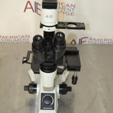 4744V SCOPE Olympus CK40-F100 Microscope